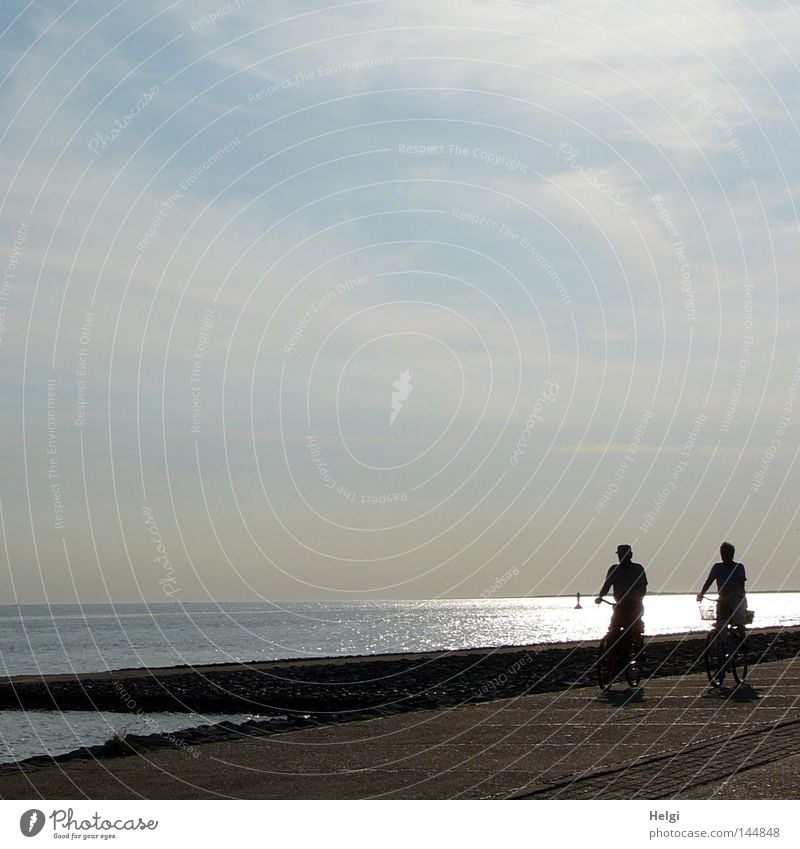 cycling by the sea... Cycling Bicycle Wheel Tire Cycling tour Driving Human being Couple Man Arm Legs Hat Basket Bicycle fittings North Sea Island Ocean Coast