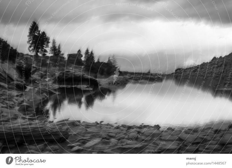 Mirror lake without Dachstein. Trees at the mountain lake. Nature Clouds Storm clouds Bad weather Lake Mirror Lake Mountain lake Exceptional Threat Dark Creepy