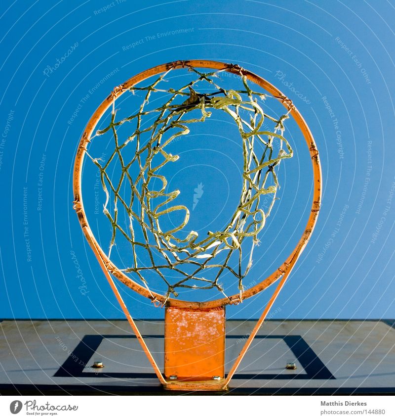 Ball after basket perspective Basket Basketball basket Ball sports Summer Autumn Sunlight Worm's-eye view Sports Air Fastening Playing Strike Depth of field