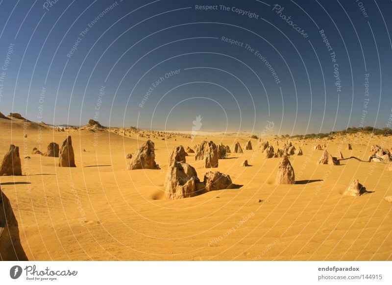 ___--__---_----x Australia Western Australia Stone Pinnacles Sky Sand Orange Blue Sandstorm National Park Trip Intoxication Vacation & Travel Earth Land Feature