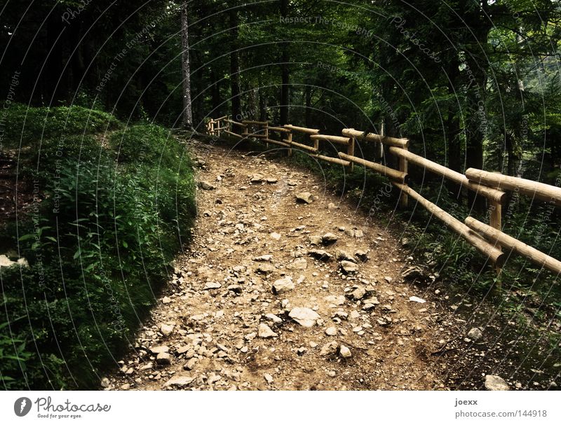 Do not give up Upward Dark Black Forest mountain Footpath Going Handrail Jolting Holperstraße Wooden fence Above Stone Stony Banister Uncomfortable Forwards