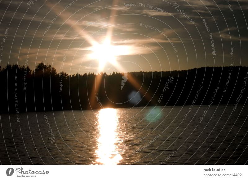 Sparkling Sun Silhouette Forest Dark Reflection Mystic Dusk Twilight Landscape Evening Water Lighting Sunset