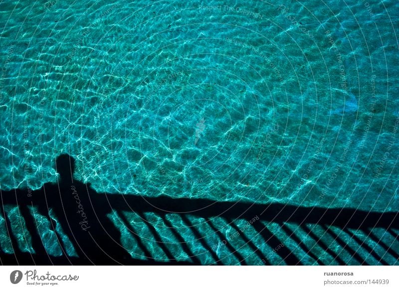 Water Pond Shadow Bridge Banister Man Human being Swimming pool Fountain Water fountain Summer Blue Former Calm Serene Refreshment