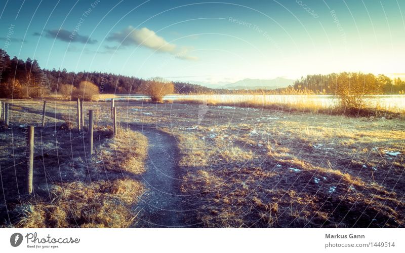 sunset mood Winter Nature Landscape Sky Horizon Sunrise Sunset Lakeside Cold Blue Brown Bavaria Lanes & trails Easter lakes Fence Clouds Colour photo