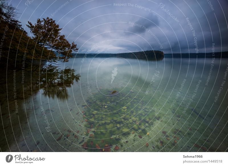 Rain clouds and their reflection Nature Landscape Plant Earth Sand Water Storm clouds Autumn Climate change Bad weather Thunder and lightning Tree Grass Moss