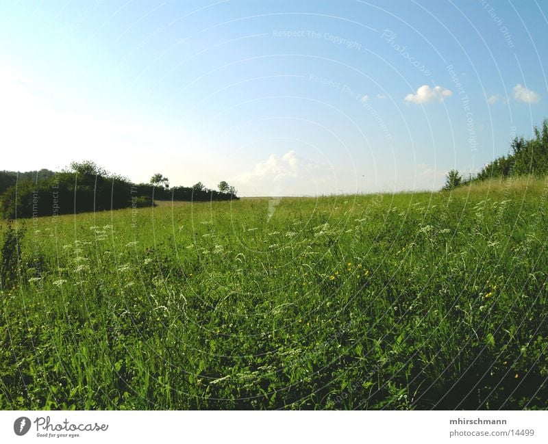 win xp Clouds Meadow Field Green Bushes Flower Mountain Sky Earth Blue