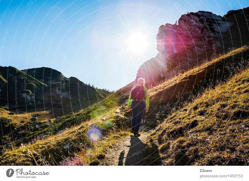 Come on, come on! Lifestyle Leisure and hobbies Hiking Young woman Youth (Young adults) Nature Landscape Sky Autumn Beautiful weather Meadow Alps Mountain Peak