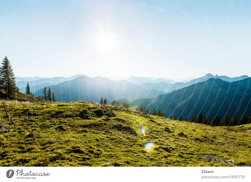 Rotwand Leisure and hobbies Hiking Environment Nature Landscape Sky Sunlight Beautiful weather Meadow Alps Mountain Peak Fresh Natural Blue Green Loneliness