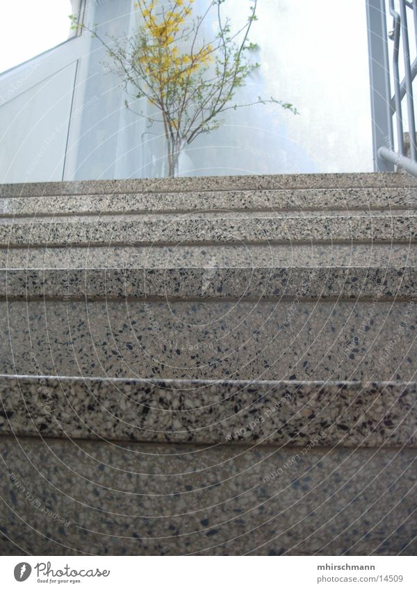 Staircase@house Staircase (Hallway) House (Residential Structure) Stone steps Architecture Stairs Interior shot