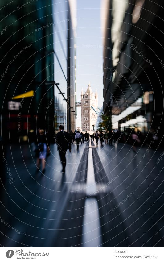 Tower Bridge Lifestyle Vacation & Travel Tourism Trip Human being Crowd of people Water London England Downtown Populated Overpopulated