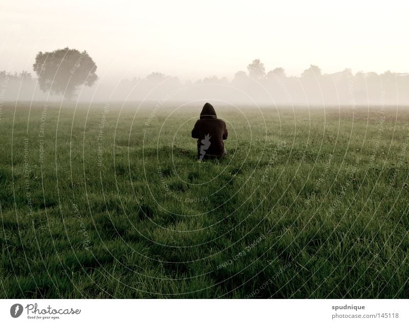 wait for no one Forest Meadow Grass Blade of grass Clearing Tree Field Far-off places Morning Morning fog Fog Patch of fog Cold Wet Summer Summer morning Crouch