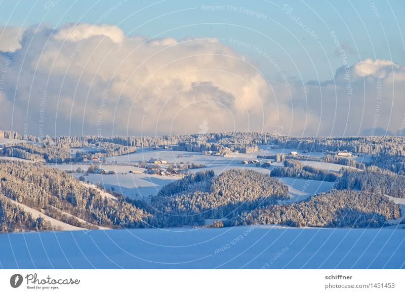 Packed in cotton wool Environment Nature Landscape Clouds Sunlight Winter Climate Beautiful weather Ice Frost Snow Forest Hill Mountain Cold Snowscape