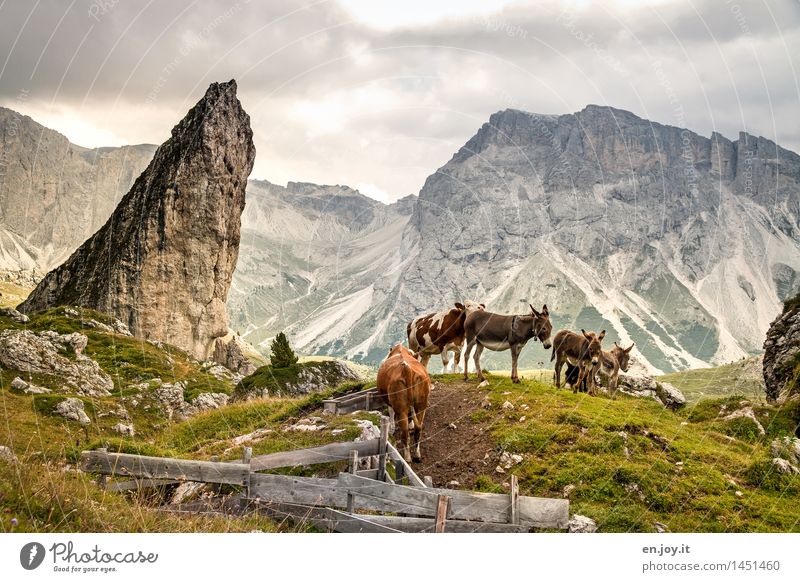 stand in line Vacation & Travel Trip Adventure Summer vacation Mountain Hiking Environment Nature Landscape Sky Clouds Climate change Bad weather Meadow Rock