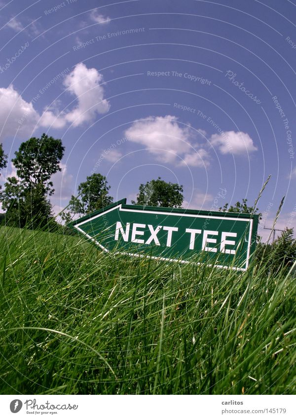 it's teetime Ace Tee off Golf club Wood Iron Pond Endurance Air Anger Aggravation Playing Sporting event Competition hole-in-one Blow Ball Tea fairway rough