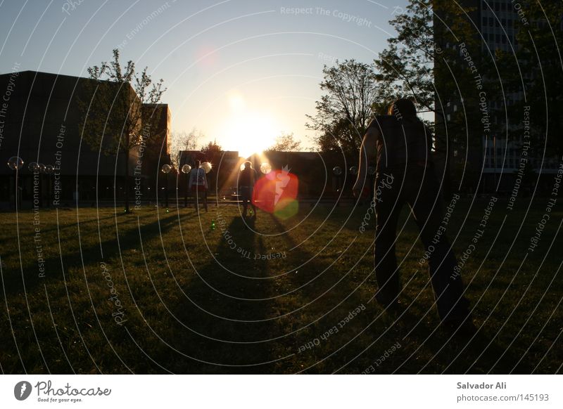 Sunset-Pils-Kubb Round Two Sweden Leisure and hobbies Break Relaxation Action Playing Noble Elegant Emotions Throw Summer Lawn Grass surface Green Light Blue