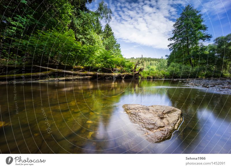 Stones in the river at long exposure and blue sky Nature Landscape Plant Earth Sand Water Sky Clouds Sun Sunlight Summer Autumn Beautiful weather Tree Grass