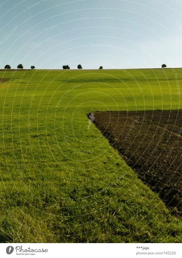 rural geometry III. Field Furrow Avenue Tree Abstract Pampa Earth Mud Brown Plowed Autumn Meadow Agriculture Geometry Nature Rural Americas Fallow land