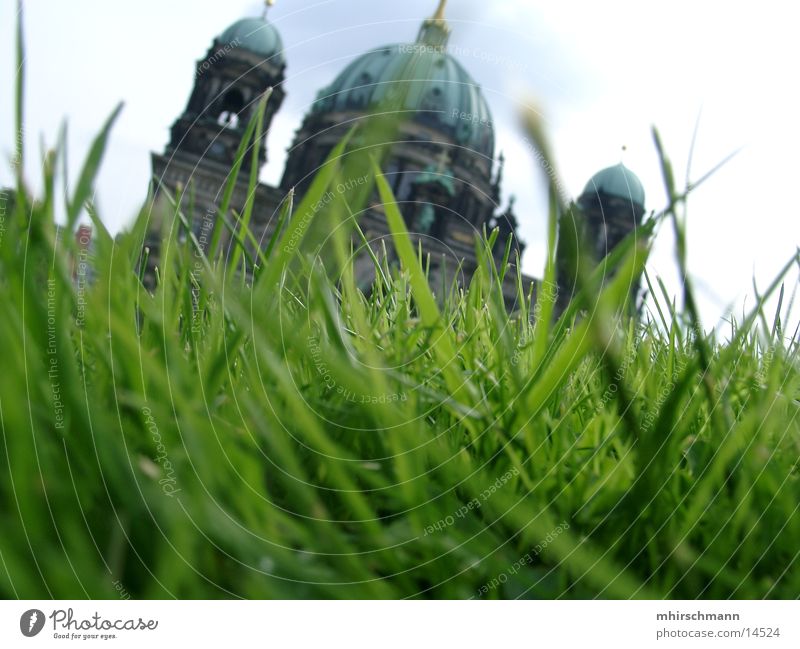 building behind blade of grass Grass Meadow Building Summer Green Architecture Sun Sky Tower