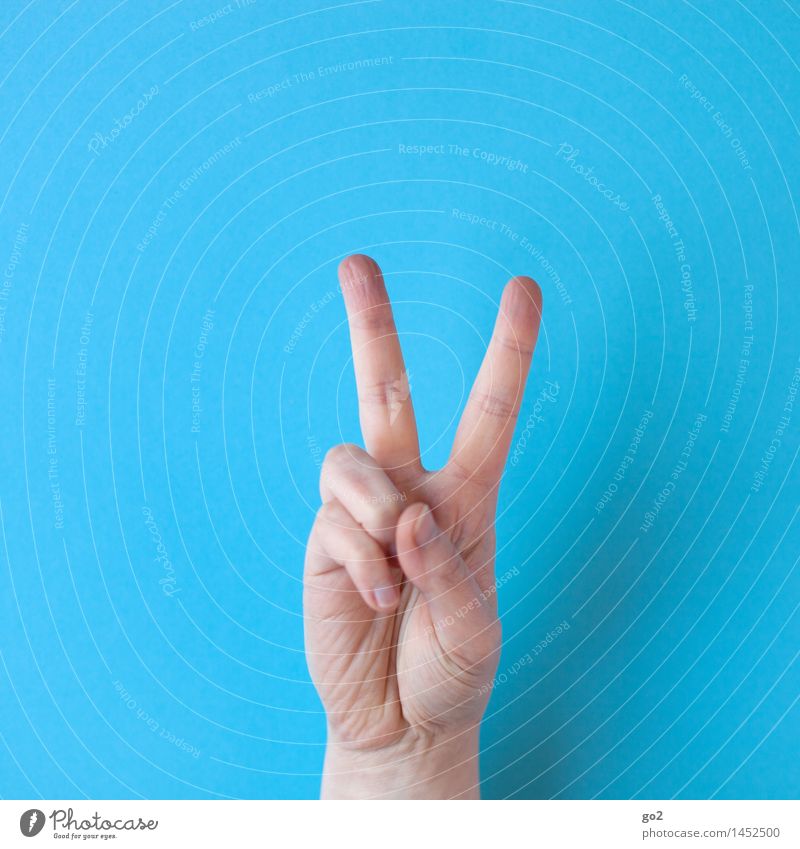 V Human being Adults Hand Fingers 1 Sign Communicate Success Positive Optimism Power Tolerant Peace Gesture Colour photo Interior shot Studio shot Close-up