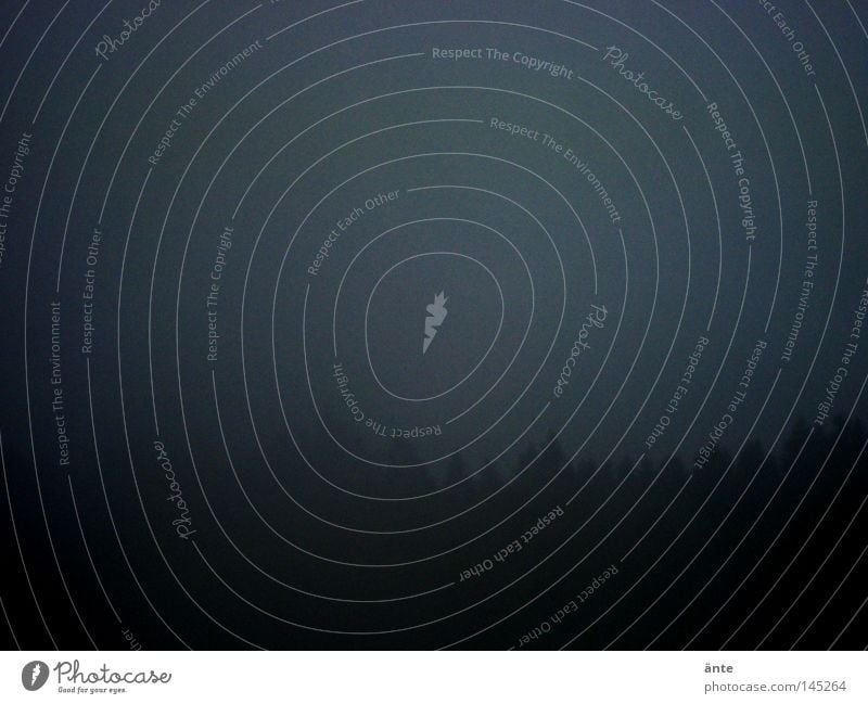 darkness Colour photo Exterior shot Deserted Copy Space left Copy Space top Copy Space bottom Evening Twilight Night Autumn Fog Forest Sadness Dark Blue Black