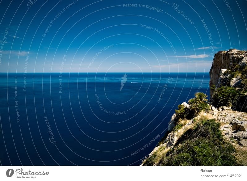 Smells like freedom Ocean Coast Cliff Mainland Lake Sea water Seagull Watercraft Tree Spain Majorca Cap Formentor Steep Rock Stony Landscape Land Feature Clouds