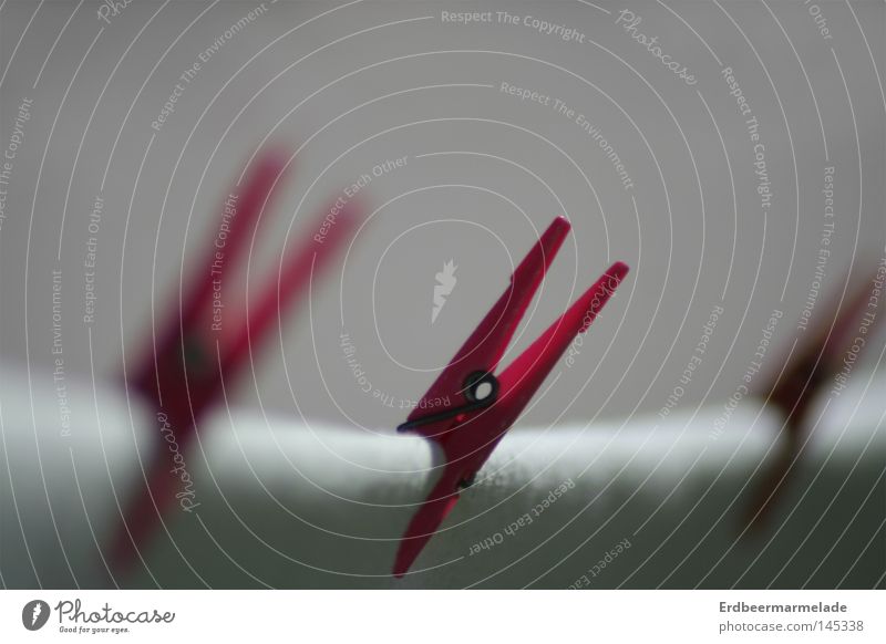 Red Centre Holder Rope Clothesline Blur White Sheet Laundry Macro (Extreme close-up) Close-up