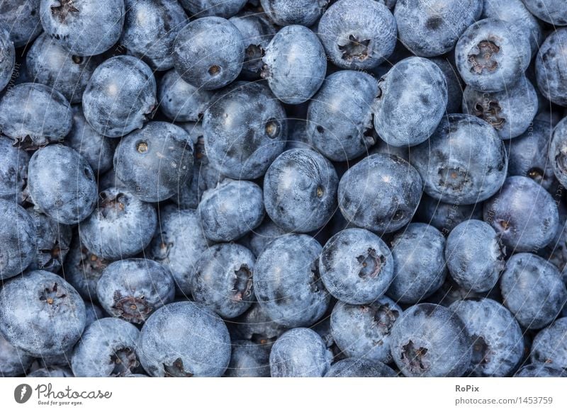 blueberries Food Fruit Dessert Blueberry Nutrition Organic produce Vegetarian diet Diet Finger food Gardening Kitchen Agriculture Forestry Trade Nature Autumn