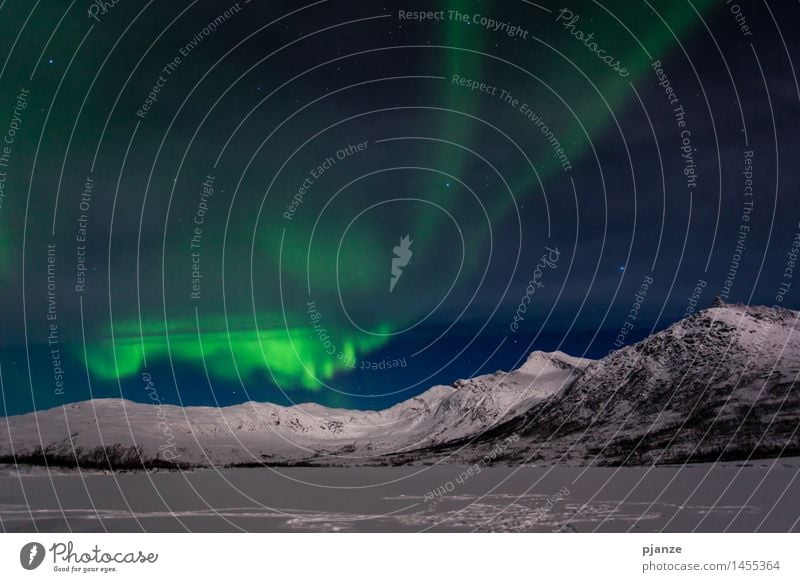 Last One Norway mountains Aurora Borealis Green (Green)