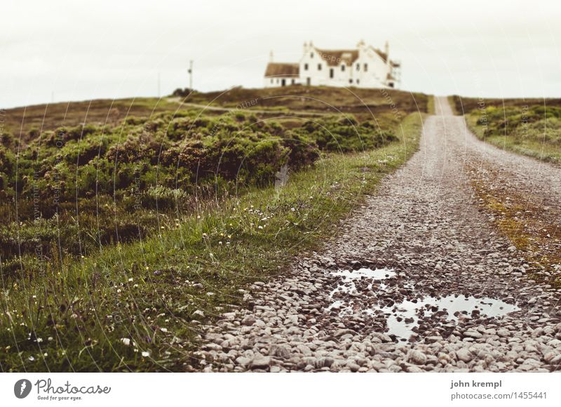 convergence Nature Field Puddle Scotland dunnet head thurso Outskirts House (Residential Structure) Manmade structures Building Lanes & trails Old Threat Retro