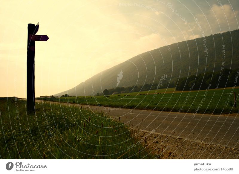 The end of the world Street Nature Mountain Grass Switzerland Fog source of light Hint Neuchatel Nowhere