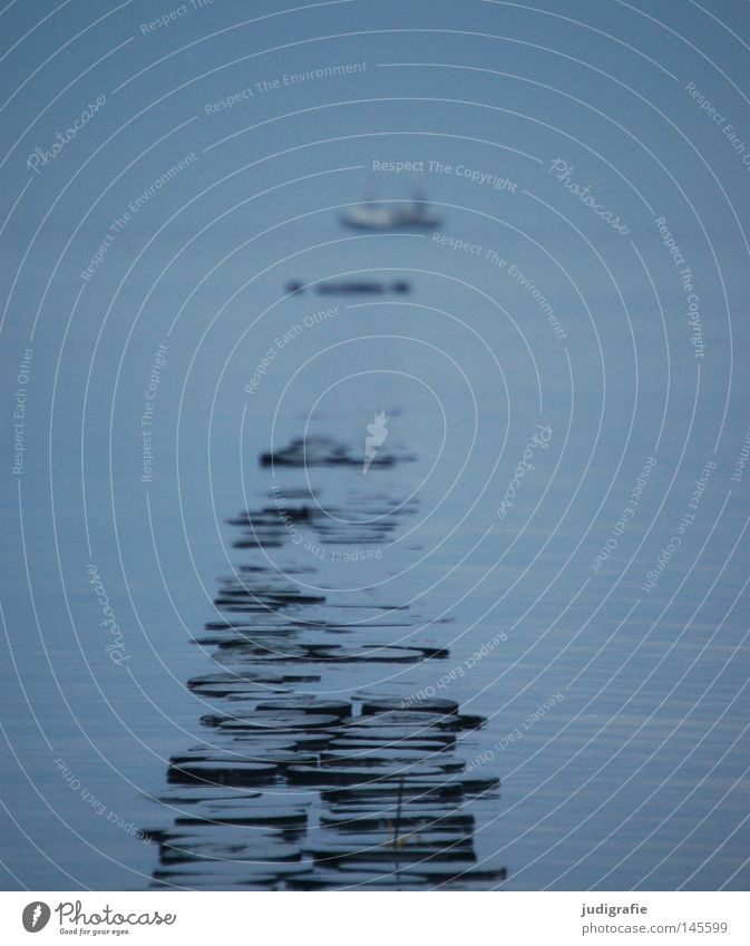 Boy, come back soon ... Blue Lake Coast Baltic Sea Ocean Sky Captain Seaman Sailor Break water Wooden stake Fog Haze Cold Winter Watercraft Navigation Fishery