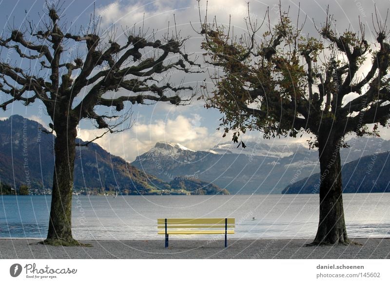 autumn bank Autumn Calm Switzerland Lake Loneliness Tree Leaf Clouds Yellow Gray Leisure and hobbies Mountain Bench Water Alps Vantage point Branch Sky Blue