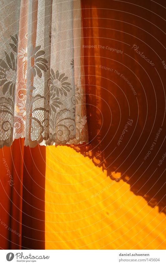 Grandma's curtains Room Cloth Drape Colour Background picture Pattern Orange Light Shadow Macro (Extreme close-up) Close-up Transience Living room