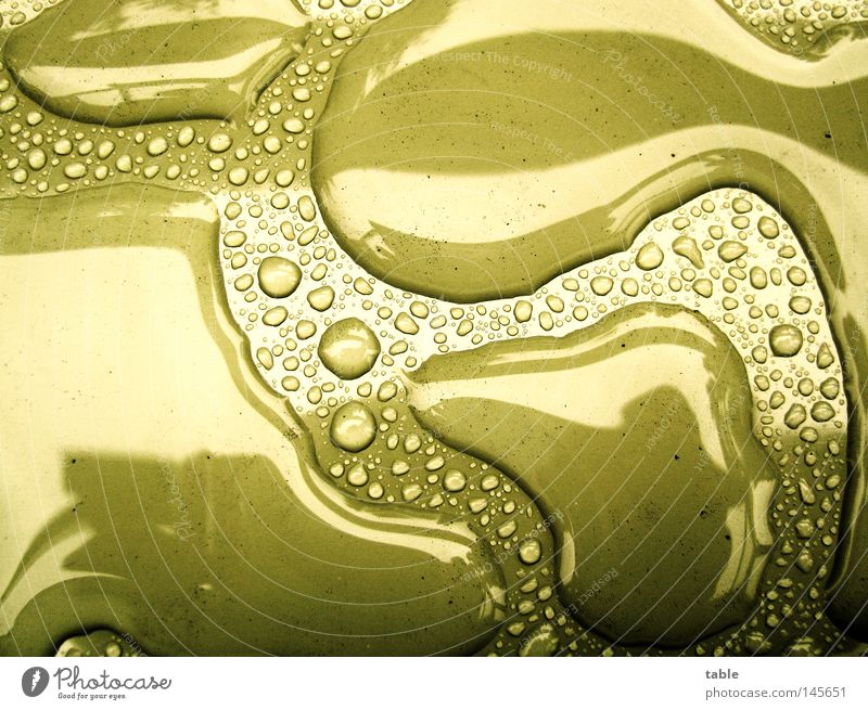 wetland Water Rain Balcony Metal Puddle Drops of water Wet Damp Green Reflection Autumn Macro (Extreme close-up) Close-up Seasons balcony breasting Varnish