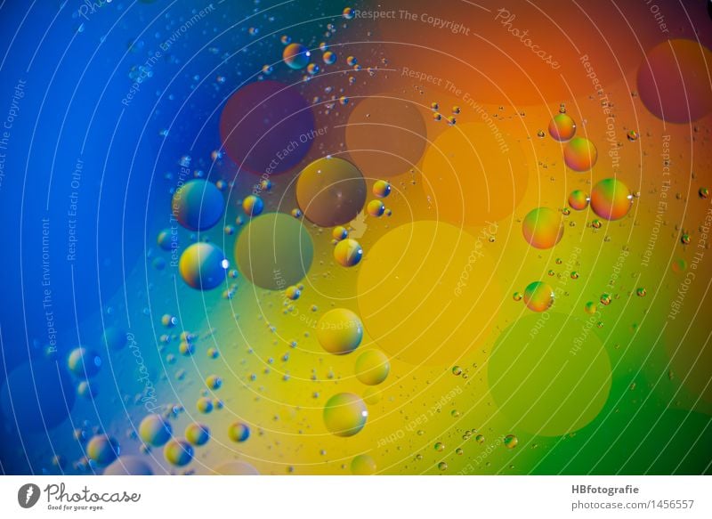 Coloured grease drops Style Design Exotic Meditation Art Work of art Round Crazy Multicoloured Idea Inspiration Creativity Dream Wellness Droplet of grease Damp