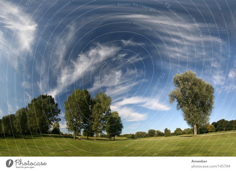 Landscape - meadow, trees & cirrus clouds Land Feature Cirrus Clouds Wide angle Meadow Nature Sky Earth Beautiful Background picture Esthetic Bizarre Bushes