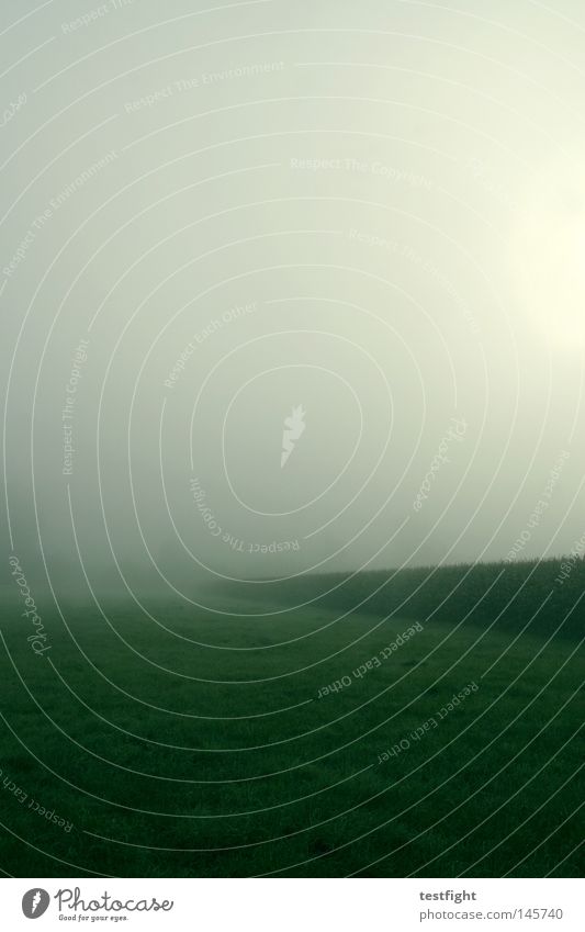 not much Calm Simple Fog Loneliness Autumn Morning Green Field Meadow Few Sun Maize