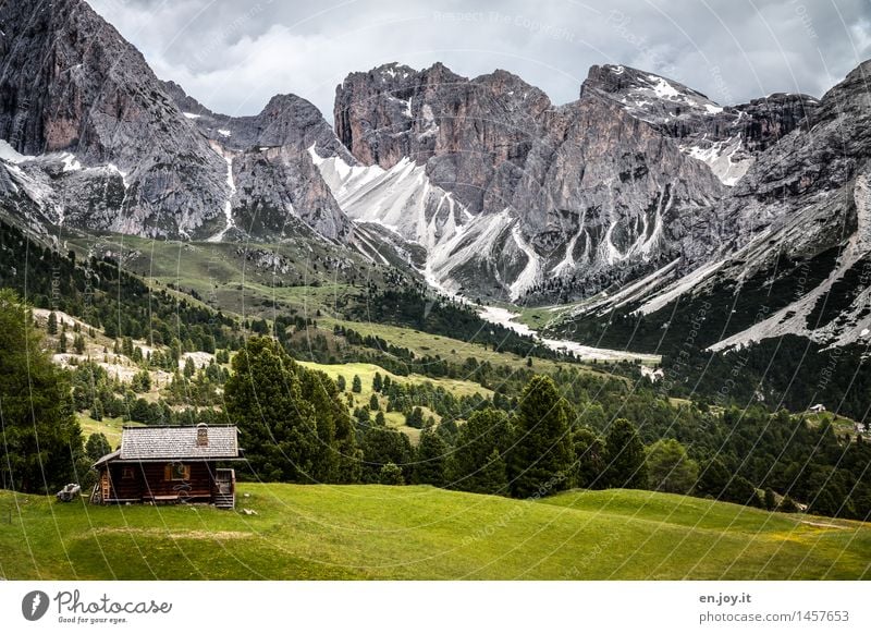 Holidays at last Allergy Vacation & Travel Trip Freedom Summer Summer vacation Mountain Hiking Nature Landscape Sky Clouds Meadow Rock Alps Dolomites Peak