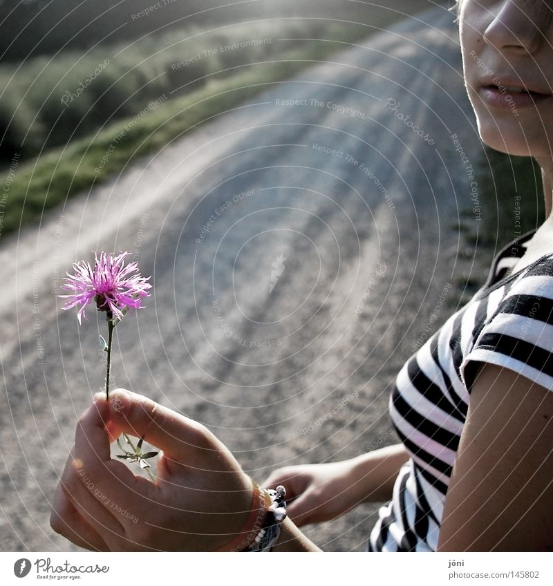 The little things in life Far-off places Infinity Deep Resume Stony Heavy Field Badlands Loneliness Slowly Sharp-edged Corner Romance Gift Watchfulness Gesture