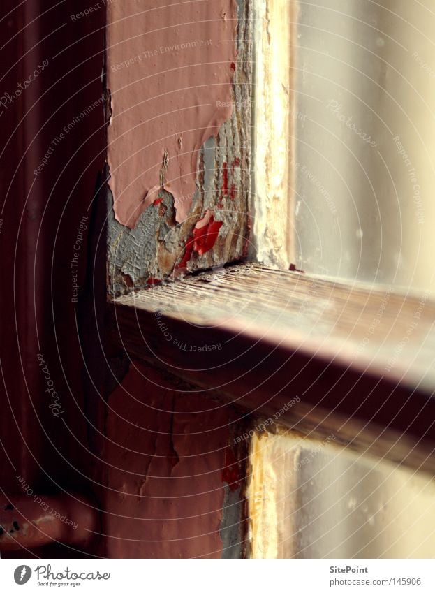 window frames Window Window frame Derelict Pink Wood Old Colour Paints and varnish Multicoloured Detail