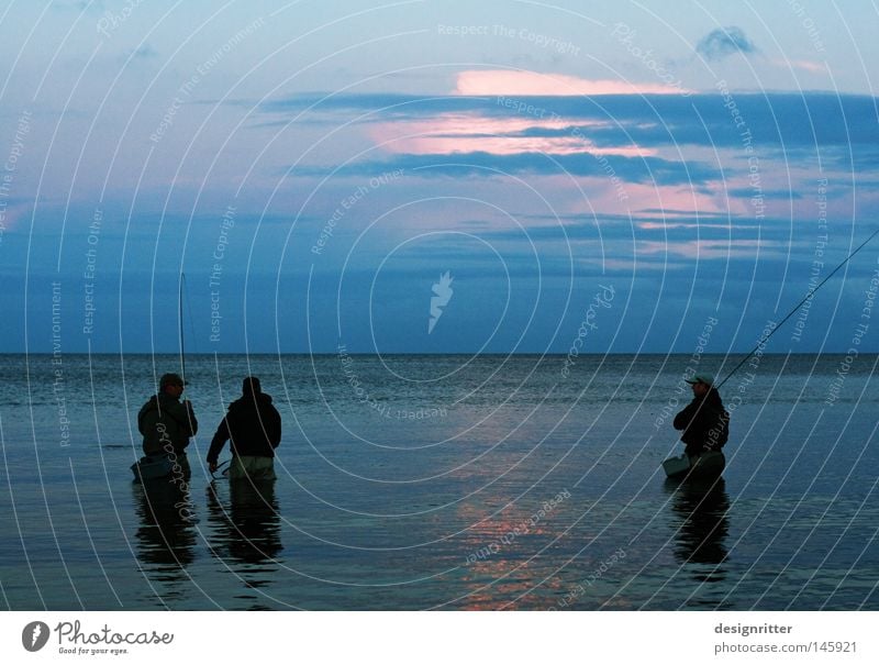 meeting Ocean Baltic Sea Lake Water Waves Movement Time Calm Peace Relaxation Loneliness Free Freedom Far-off places Horizon Horizontal Blue Twilight Evening