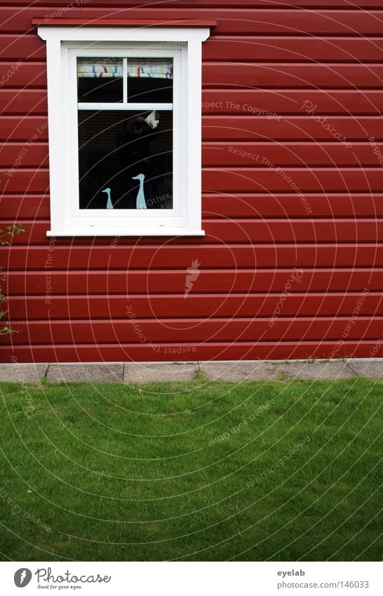 Swedish Chic 2008 Sweden House (Residential Structure) White Red Reddish white Window Grass Lawn Wooden board Wooden house Window frame Decoration