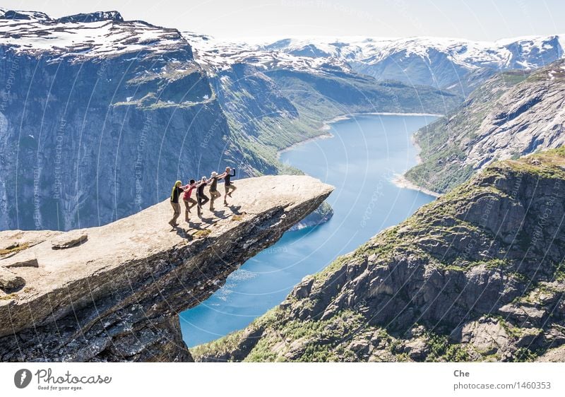 Five lemmings Landscape Summer Beautiful weather Rock Mountain Peak Tall Success Trust Safety Agreed Friendship Belief Wanderlust Fear of heights Respect Stupid