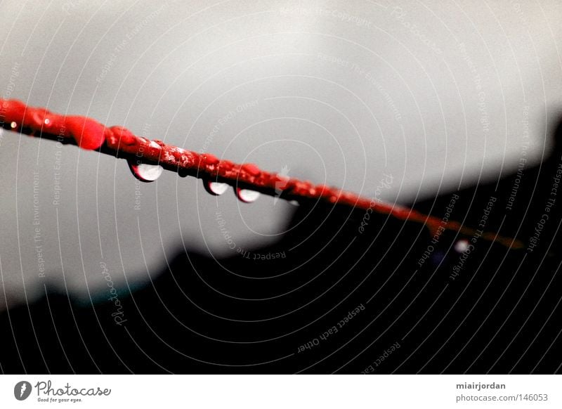 Hot Wire Drops of water Red Clothesline Near Depth of field Clouds Roof Gray Black Park Obscure Water Rain Rope Close-up Cloud Sky