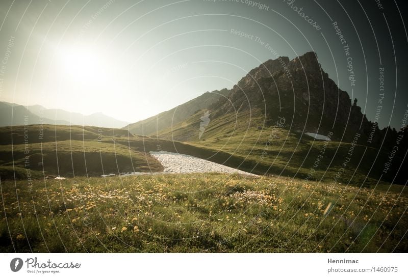 Heidi. Vacation & Travel Tourism Adventure Far-off places Freedom Summer Summer vacation Sun Mountain Hiking Nature Landscape Sky Grass Hill Rock Alps Peak Gold