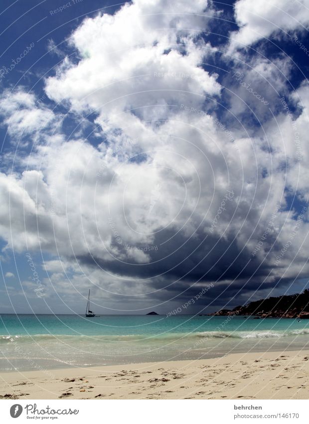 cloudburst in honeymoon paradise Seychelles Indian Ocean Honeymoon Bride groom Married Dream island Palm tree Beach Clouds Turquoise To enjoy Relaxation