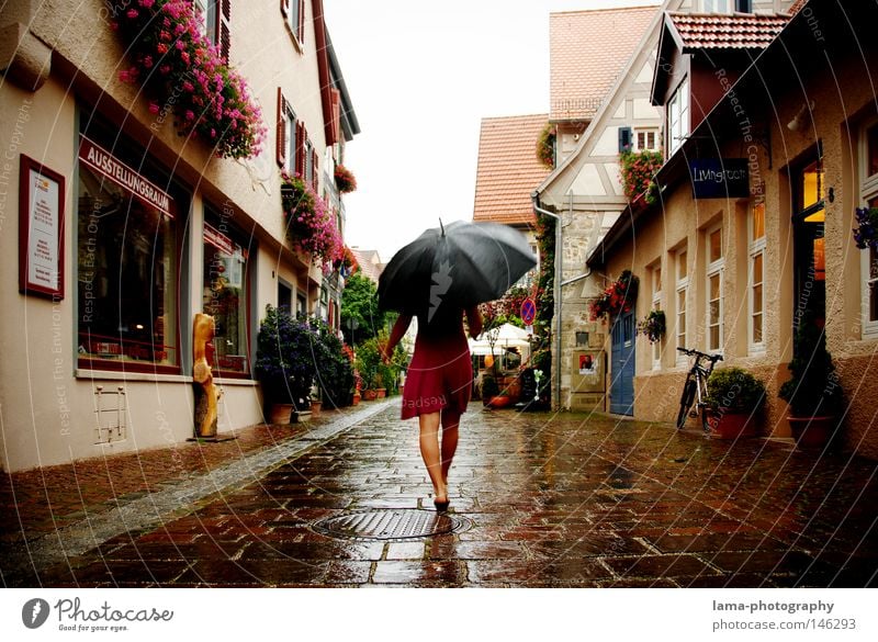 summer rain Rain Weather Thunder and lightning Wet Cold Umbrella Damp Dress To go for a walk Walking Going Pedestrian Pedestrian precinct Downtown Old town Town