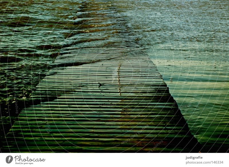 Country under Water Lake Ocean North Sea Footbridge Deluge High tide Wood Jadebusen Coast Beach Waves Light Current Flood Rinse Wet Colour Danga