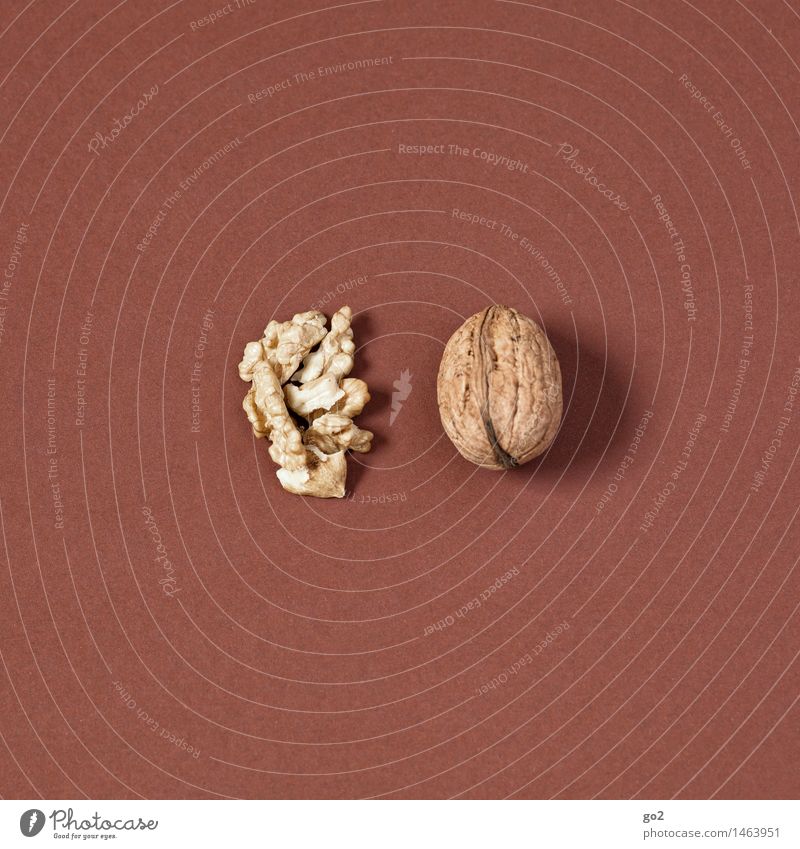 walnut Food Fruit Walnut Nut Nutrition Eating Organic produce Diet Healthy Eating Christmas & Advent Esthetic Simple Delicious Brown Colour photo Interior shot