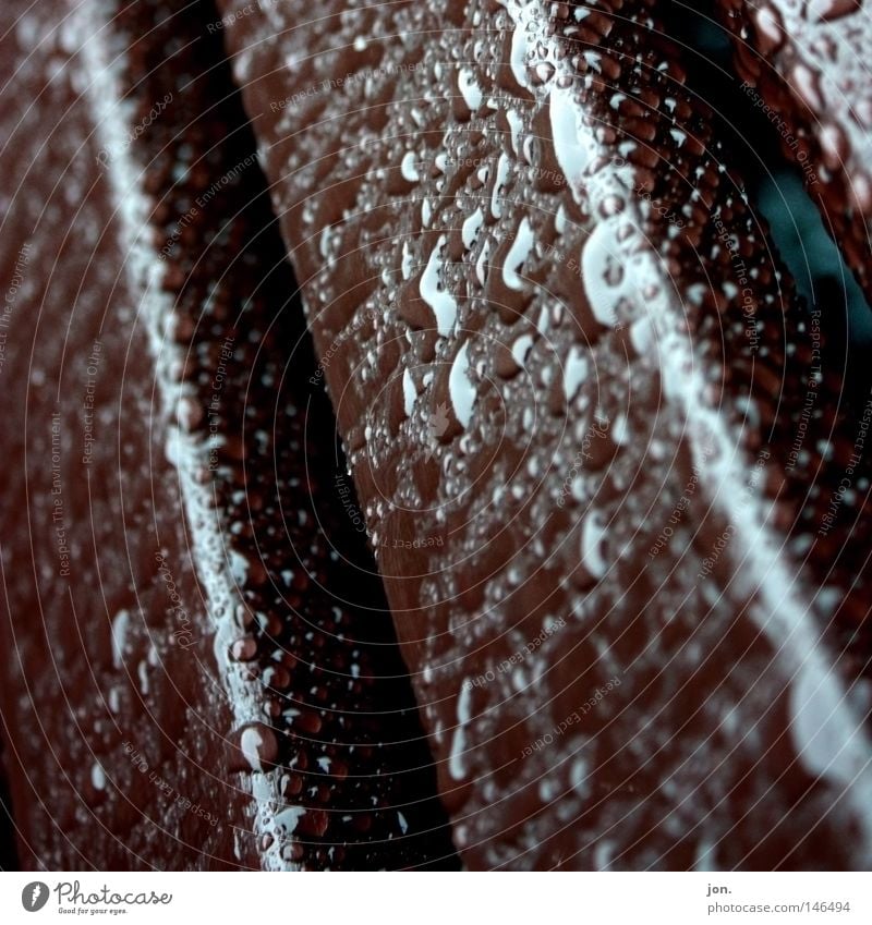 raindrop Rain Garden bench Autumn October Seasons Wet Damp Wood Dark Brown Macro (Extreme close-up) Close-up Furniture Drops of water Bench Weather Water